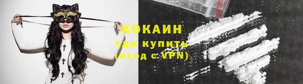 стафф Няндома