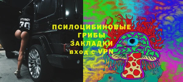 СК Гусев