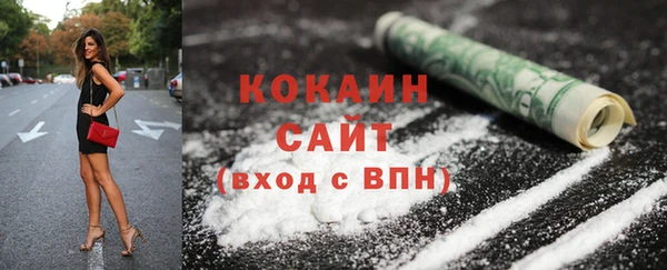 твердый Новодвинск