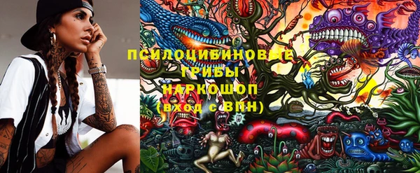 ALPHA-PVP Кизел