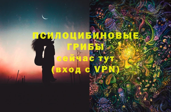 стафф Няндома