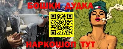 прущие грибы Кандалакша