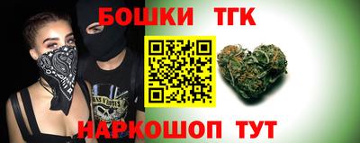 прущие грибы Кандалакша