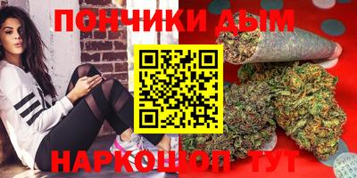 прущие грибы Кандалакша