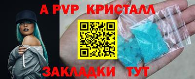 прущие грибы Кандалакша