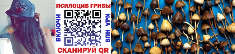 Псилоцибиновые грибы мицелий  Краснотурьинск 