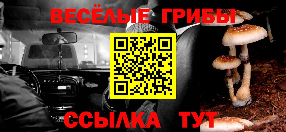 Галлюциногенные грибы мицелий Краснотурьинск